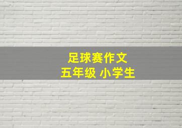 足球赛作文 五年级 小学生